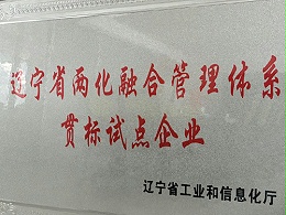 辽宁省两化融合管理体系贯标试点企业