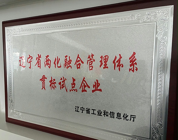 辽宁省两化融合管理体系贯标试点企业